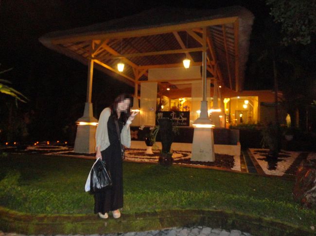 ホテルに着く頃にはもう真っ暗(>_<)<br /><br />急いで帰国の支度をしました。