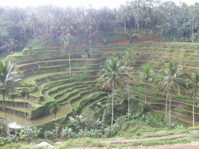 写真ではわかりづらいけど、綺麗だったo(^▽^)o<br /><br />でも小雨が降ってきました(´･_･`)