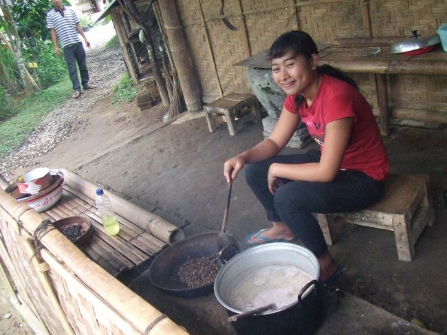 その後、レストランの隣にある植物園へ。<br />いろんなフルーツ等がなっていました☆<br /><br />お姉さんはコーヒー豆を炒っていました(・∀・)