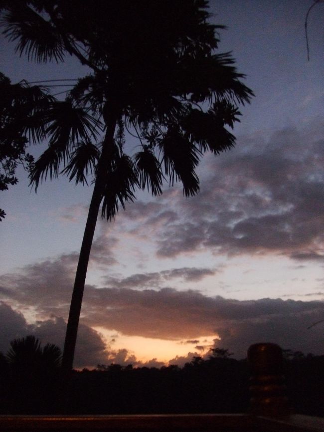 ホテルへ戻ると、もう夕方。<br />夕焼けが綺麗だった☆