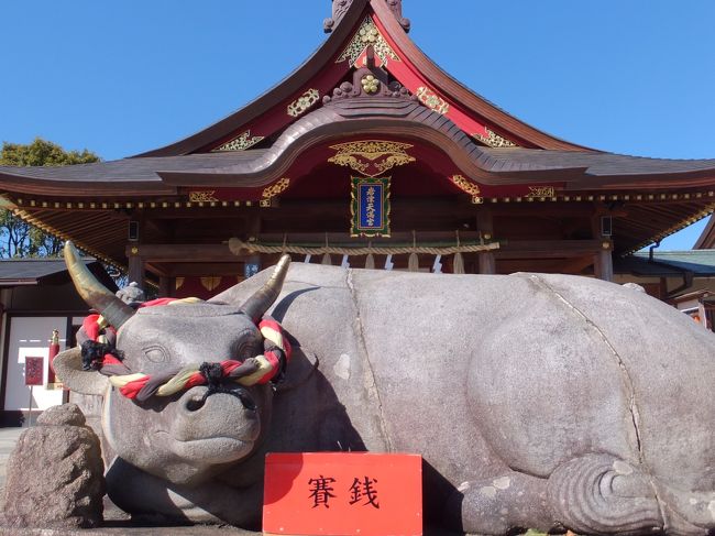 <br />どぉ〜んと撫で牛が鎮座しています。<br />いっぱい撫でときましたっ<br /><br />拝殿の裏手に本殿があるようです。<br />