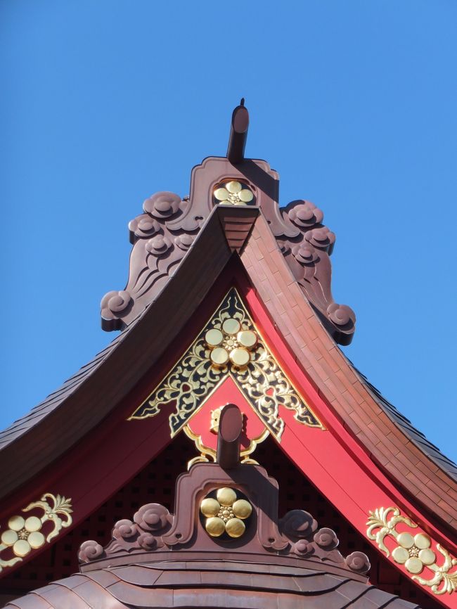 <br />いたるところに梅の花が。