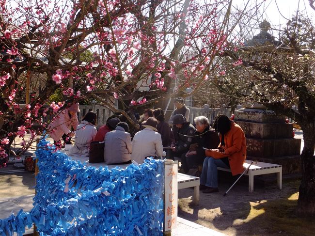 <br />みなさん休憩中？？と思いきや…<br />俳句教室でした！<br /><br />梅の下で俳句を詠むなんて！風情があるなぁ！<br />素敵だけど、わたしは老後にとっておきます(笑)