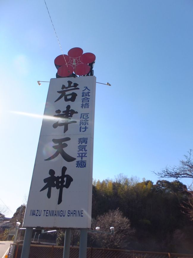 <br />３月にはいり、だんだんと春の陽気。<br />この日は風もなく穏やかでしたので、ふと思い立ってお出かけしました。<br /><br />思いつきでしたので、ひとりでのお出かけ。<br />たまにはいですね。<br />