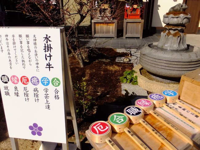 <br />こちらは水掛け牛。<br />願い事を唱えながら神牛に御神水を掛けます。<br />