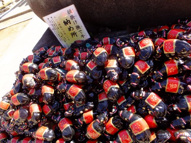 <br />撫で牛の裏には･･･大量の願掛け撫で牛！！<br />