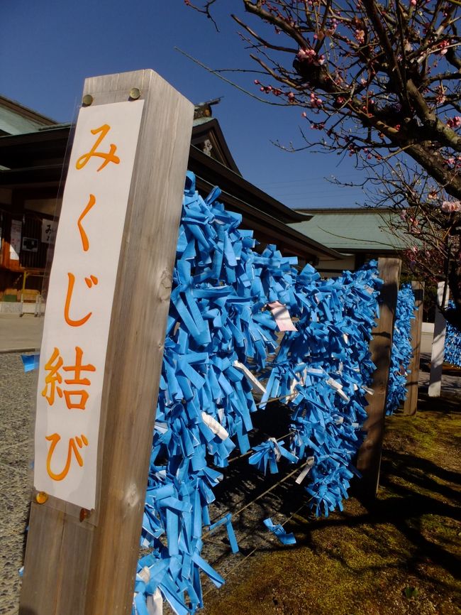 <br />あざやかなおみくじのブルー。いいですね。<br />