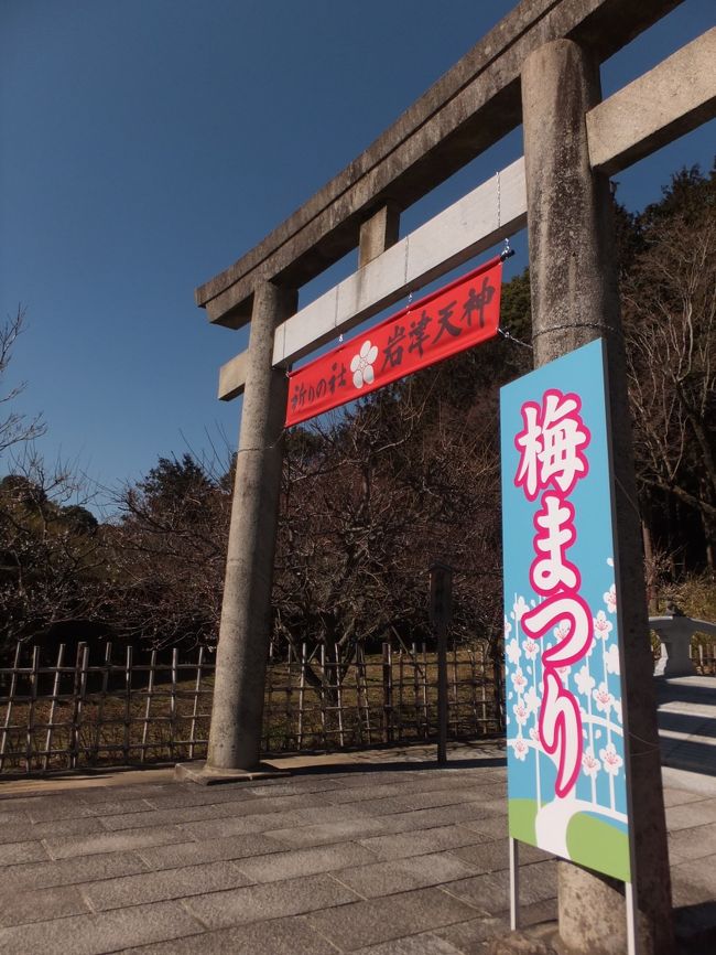 <br />学業の神さまとして有名で、中学３年の当時、高校の合格祈願に友人と訪れました。それ以来ということは･･･十数年ぶり！！<br /><br />わたし実は、梅の名所として有名てことは知らなくて(汗)トラベラーのhokkaさんが初詣に行かれてた旅行記で、梅の時期もいいですよと教えてくださったのです。<br />思い立って･･･と言いつつ、実は梅の時期を狙っていたのでした。<br />ただ、今年の梅の開花は遅いそうで･･･行くのがちょっと早かったかな。。。