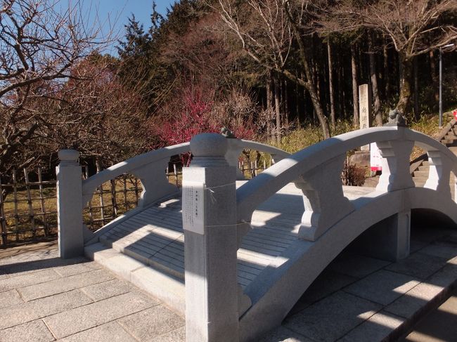<br />駐車場から、二の鳥居をくぐるとすぐにあるのが神橋。<br />一の鳥居はもっと手前の住宅街の中でした。<br /><br />こんな入り口だったかな？<br />記憶を辿っても思い出せません。。。