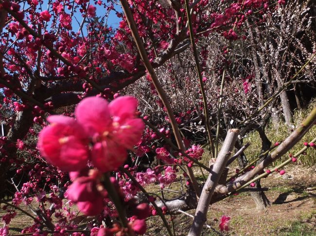 <br />ま、練習ってコトで。。。