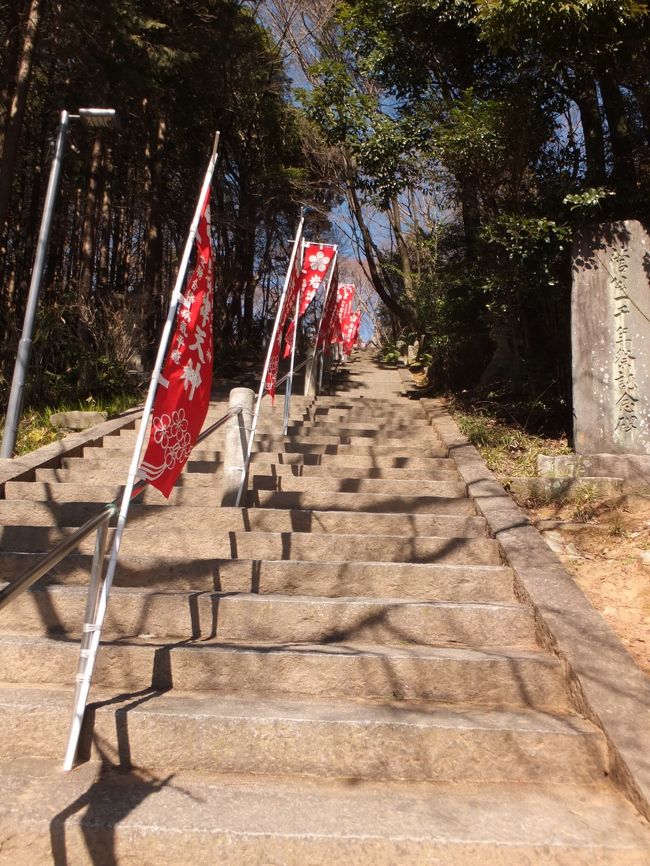 <br />ひとりでいろいろ撮影していたら、お散歩中らしい地元のおじさんに声をかけられました。<br />「撮ってあげるからそこに立ちなよ！」<br />え、ひとりで？！イヤイヤいいです！ダイジョウブです！お気遣いありがとうございます！<br />自分の姿なんて残したくないんで(笑)丁重にお断りしました。<br /><br />聞くと、境内の梅はけっこう咲いているとのこと。