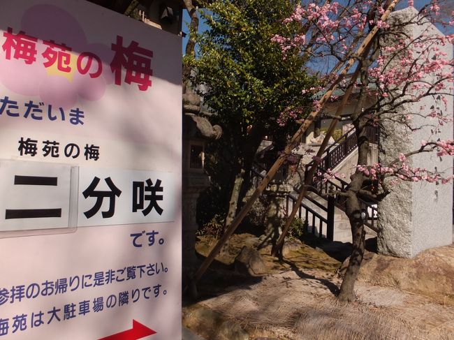 <br />上がっていくと、手水舎の横に案内板があります。<br />二分咲き･･･やっぱり早かったか〜。<br />