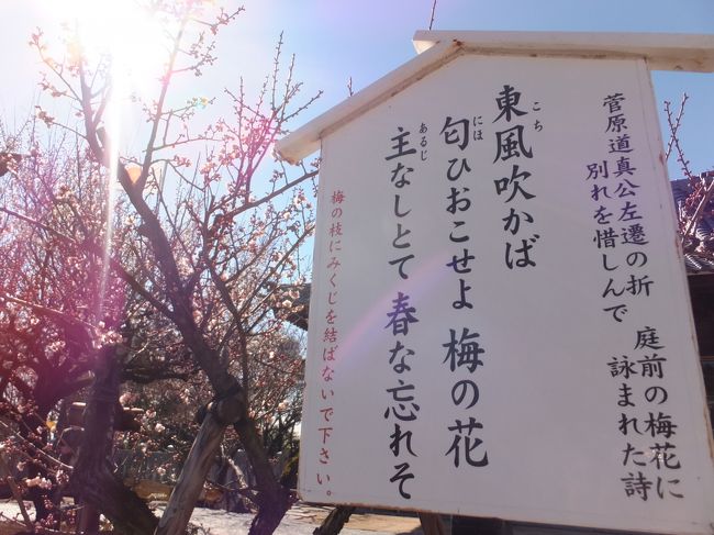 <br />菅原道真公が、京都から大宰府に左遷されるときに、日ごろから愛していた梅の木に別れを告げた歌です。<br />さすがにこの歌は知っています。有名ですね。