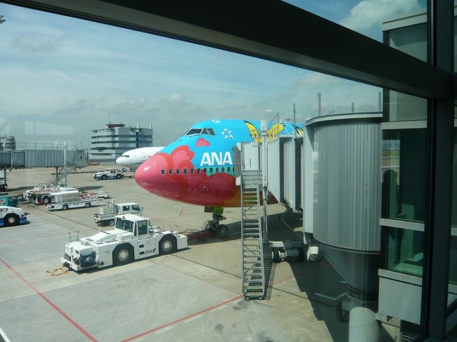 行きはこのポケモンジェットで！