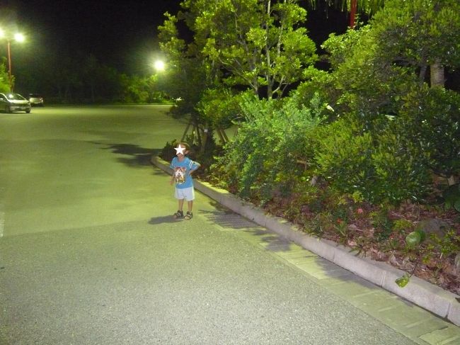 御菓子御殿駐車場