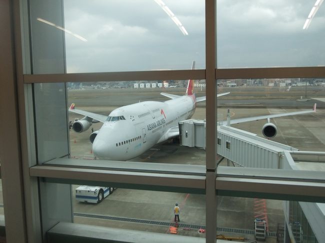 アシアナの臨時便かなぁ？？<br />それとも便数が増えたのか・・・？？<br /><br />いずれにせよこんな大きなやつはいつも飛んでないと思うので撮ってみた。