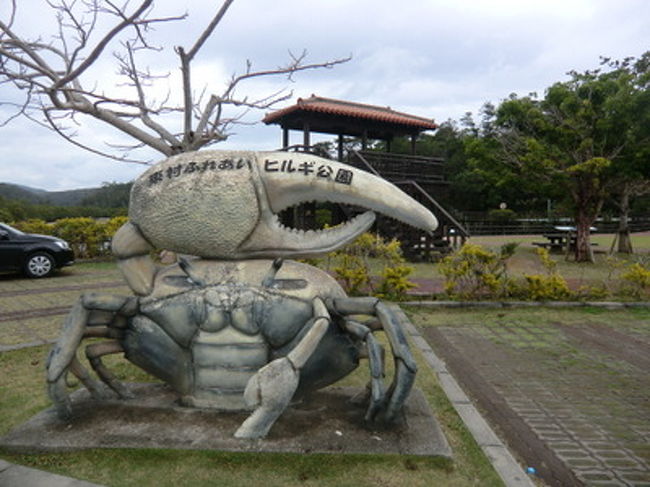 ヒルギ トップ 靴 口コミ