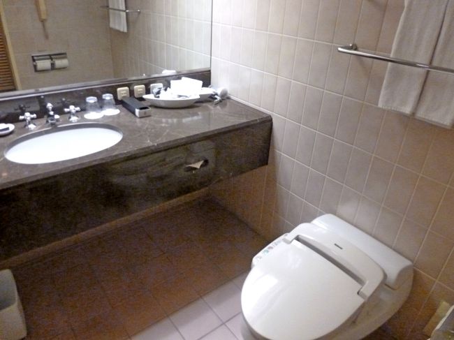 アメニティは良くそろっているが古さを感じる