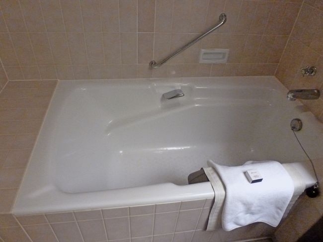 バスは少し年季が入っていて狭い