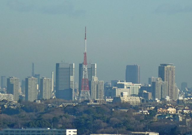 東京タワーが見えた