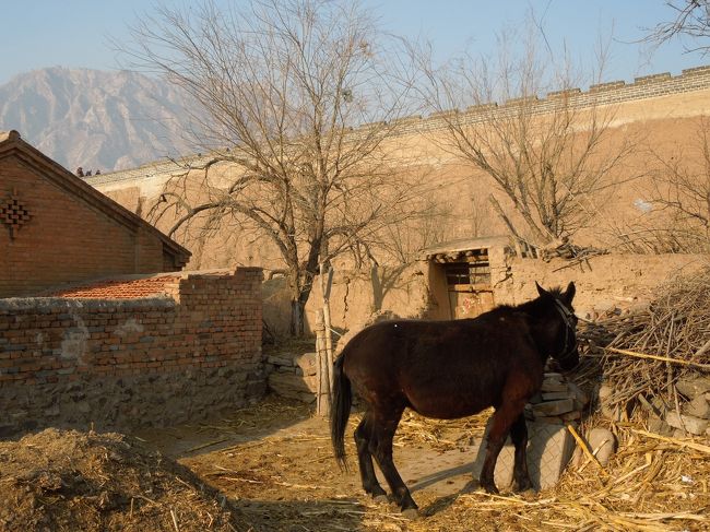 その隣では…<br />