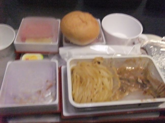 22時すぎに離陸？（また寝てた）して機内食で起きた。<br />