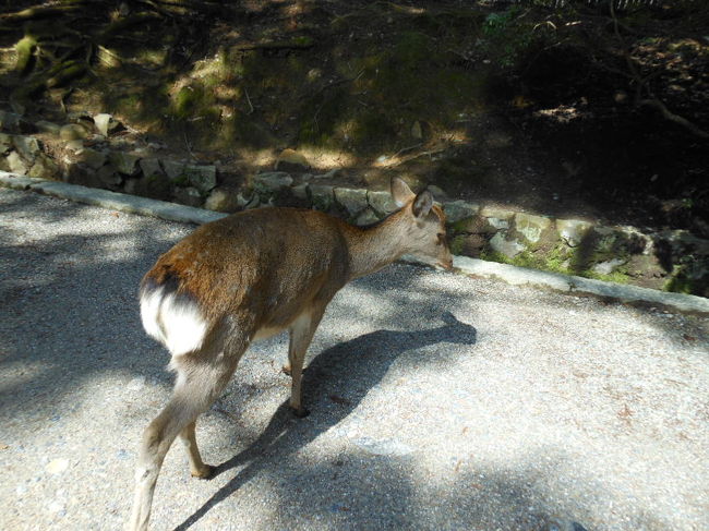 角を探してるのかな？