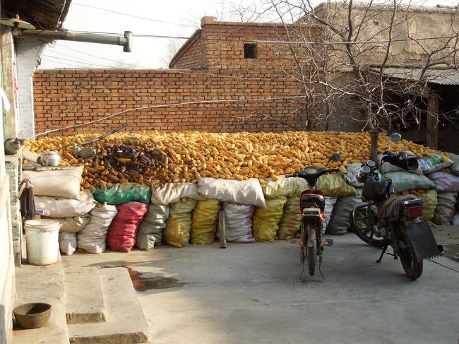 それよりもこちらです。<br />ちょいと覗かせてもらいました。<br />こんなに沢山食べきれません<br />