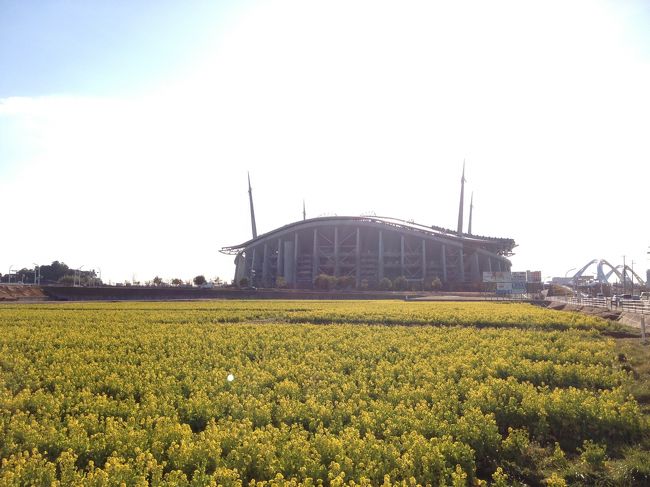 <br />逆光ですが･･･お花畑の向こうに見えるのは、昨年サッカーのクラブワールドカップが行われていた豊田スタジアムです。<br /><br /><br />たまには近場でのんびり撮影もいいですね。<br />実はとうぶんの間、泊まりでの旅行に行けそうにないので(泣)またひとりでふらりとお出かけしようと思います。<br /><br />ここまで読んでくださり、ありがとうございましたっ♪