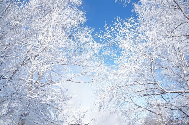 極寒の北海道で流氷と温泉を楽しむ (Hokkaido in mid-winter)』北海道