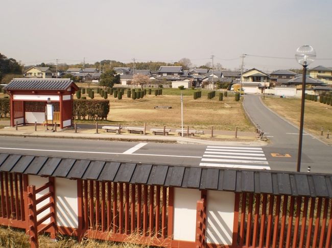 大極殿は復原されましたが周辺はまだまだ・・樹木は柱の代わりです。