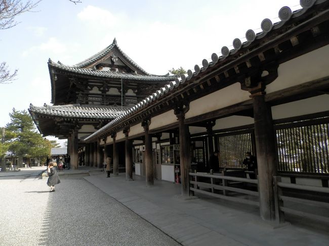 さ、法隆寺のレポートなの。