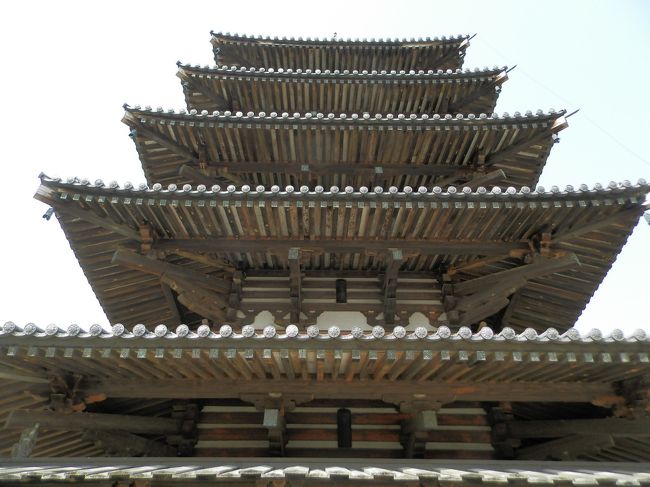 下から覗くように撮ってみたよ。<br />ナイスですねぇ〜<br />(*^-°)v ｵｯｹｪｰ♪