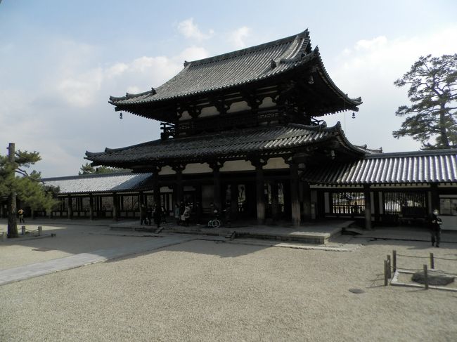 中門および回廊なの。<br />なかなか味があるの。