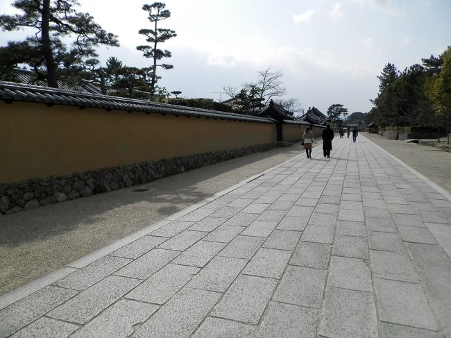 雪がチラつき、厳冬は続くの・・・。<br />うー、おしっこなの。<br />（≧▼≦；）ｱﾁｬ