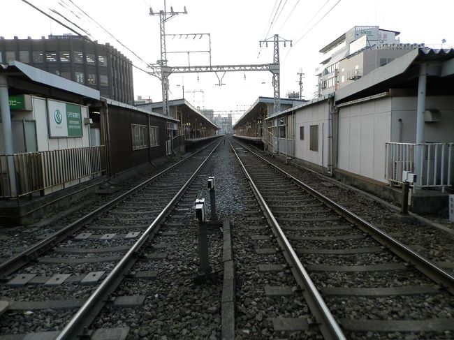 隣の駅の新大宮で降りるよ。<br />今日のお宿の奈良ロイヤルホテルの<br />最寄り駅もここだからちょうどいいの！<br />(´0ﾉ｀*)ｵｰﾎｯﾎｯﾎ!!