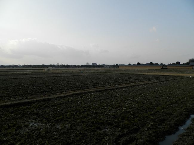 人気のないほうへ向かうと・・・・。<br />