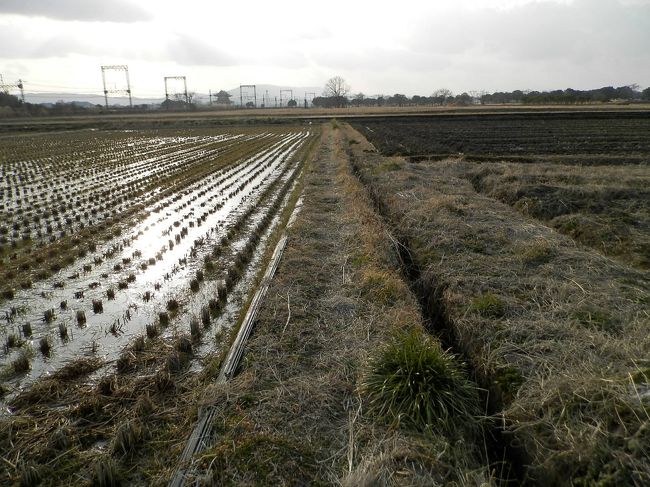 一方、グーちゃん一行は<br />畦道を行くの・・・。<br /><br />
