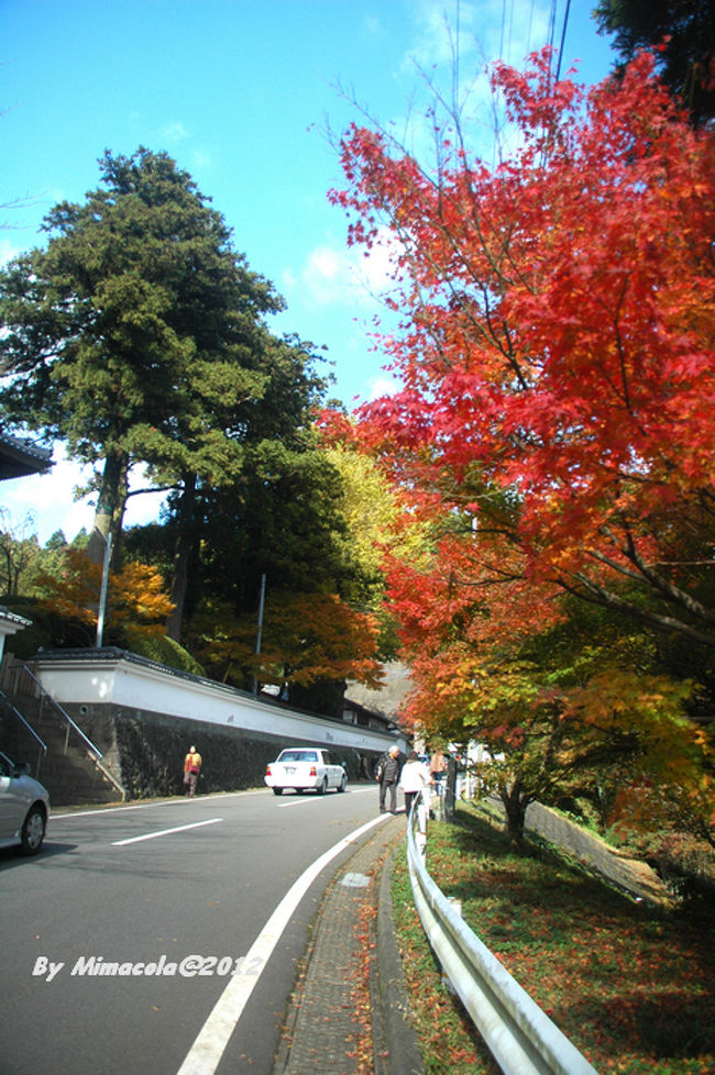 静かな山道、秋の紅葉季節以外、観光客が殆どいません。
