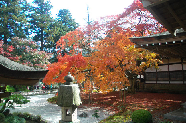 福岡県糸島市　雷山　千如観音寺　<br /><br />一番素敵な紅葉様