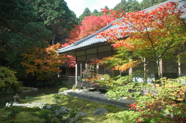 　　こんな素敵な庭園を囲まれた暖かい禅屋の中に　　座禅して見たいな