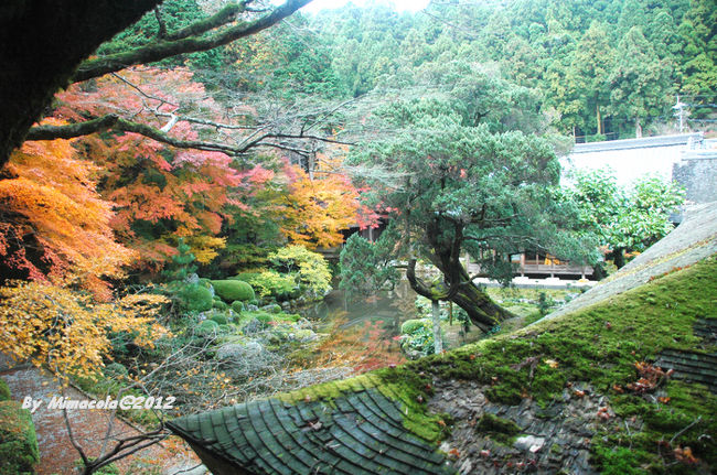 緑の屋根のした、素敵な庭園でしょ
