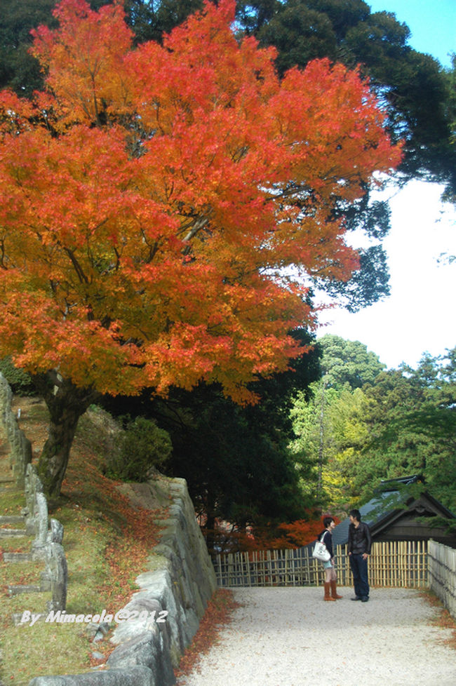 ちょっと映画らしい場面でしょ〜<br /><br />二人、頑張れ。