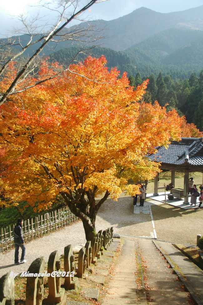 この金の色、秋が燃えているよ