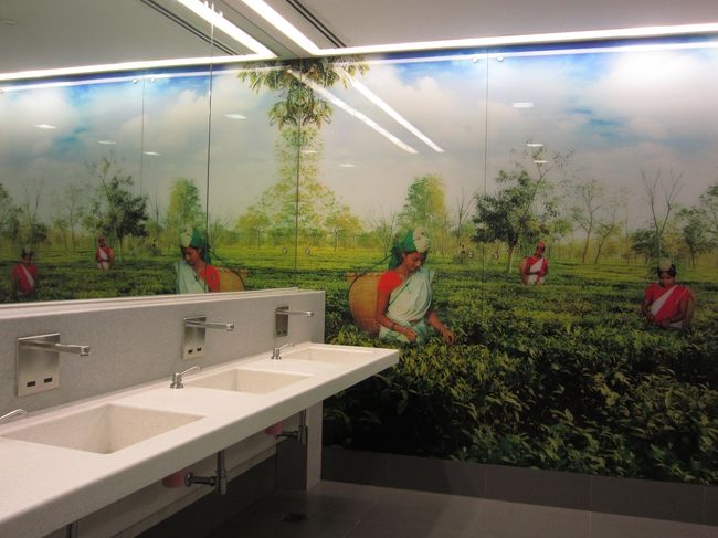 まもなく、本物の茶畑を見に行きますよー