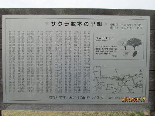 <br />サクラ並木の里親、桜の木を植えた個人名が記されています。<br /><br />