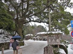 さて、いよいよ日本三大名園である兼六園にやってきました。

雪が再び強くなってきました・・・