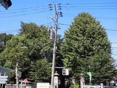 お隣は、平塚神社。