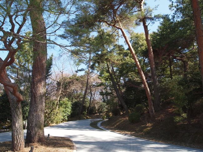 雰囲気のある道を上っていきます。