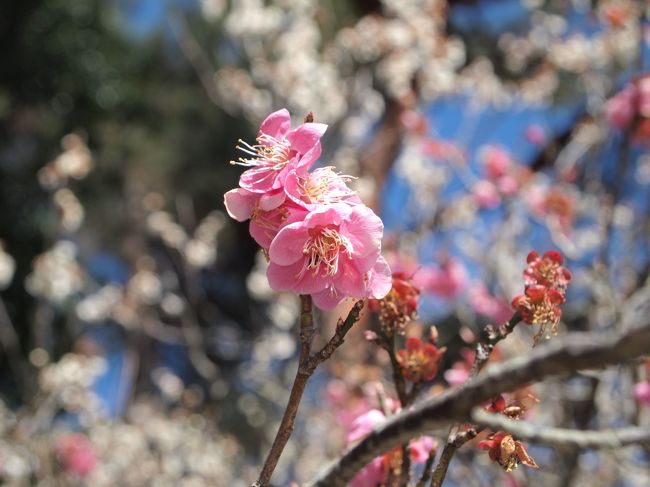 二つ目、道知辺（みちしるべ）です。
